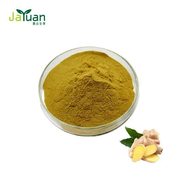 Organic Ginger Extract Powder Organic Ginger Extract Powder